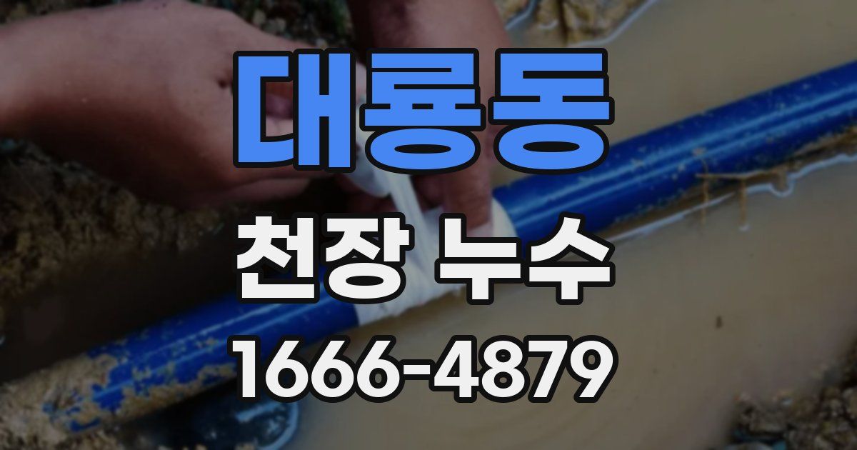대룡동 천장 누수