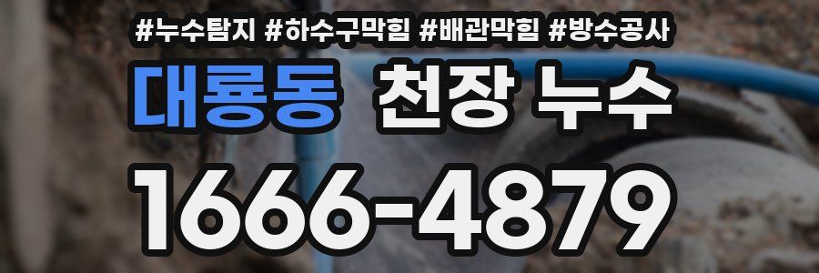대룡동 천장 누수