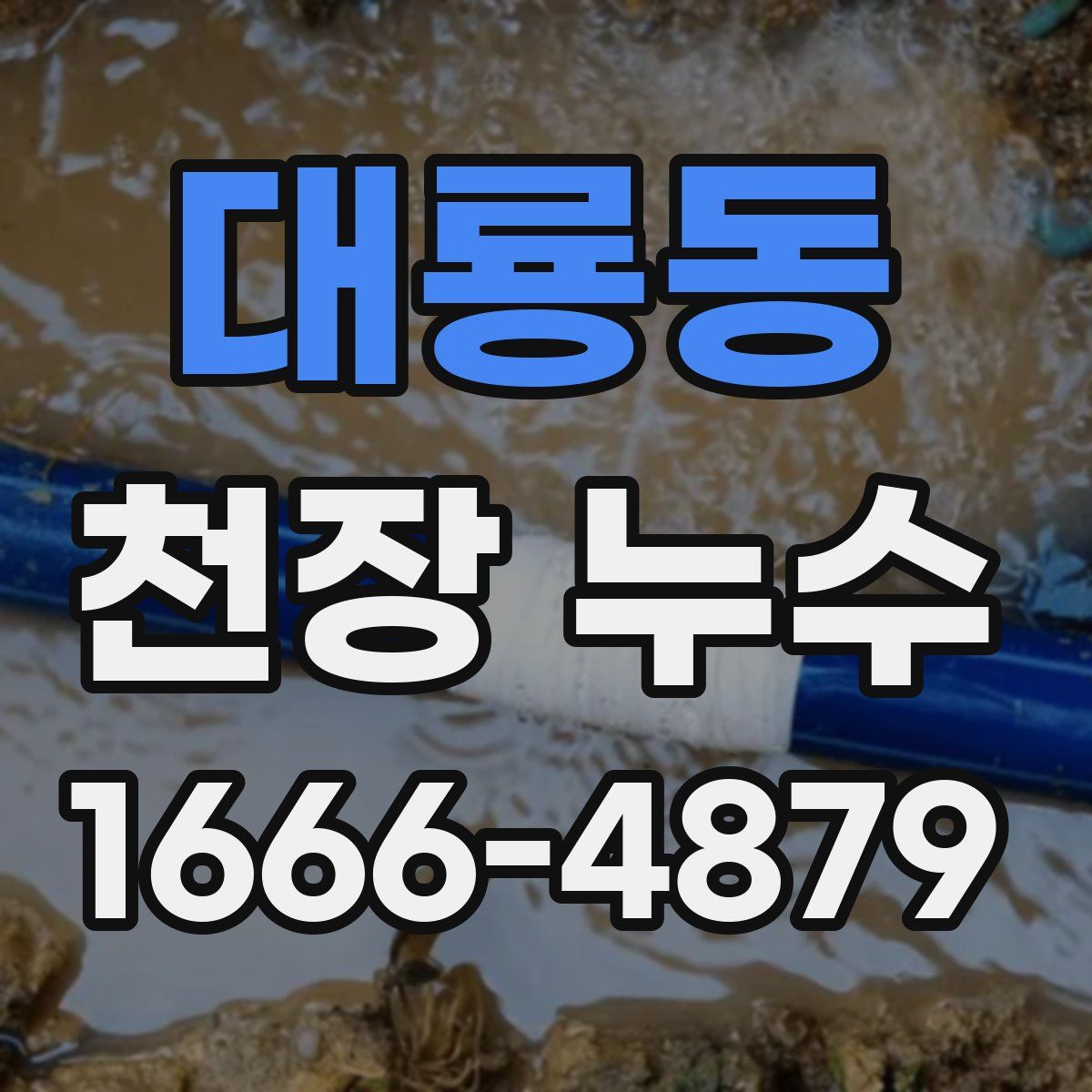 대룡동 천장 누수