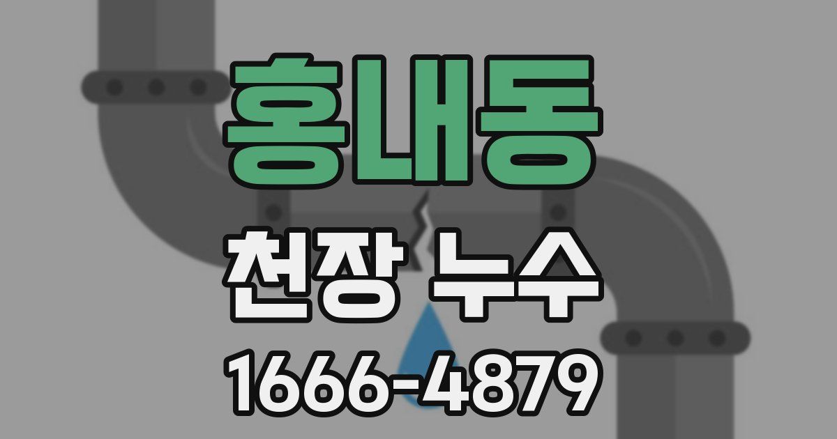 홍내동 천장 누수