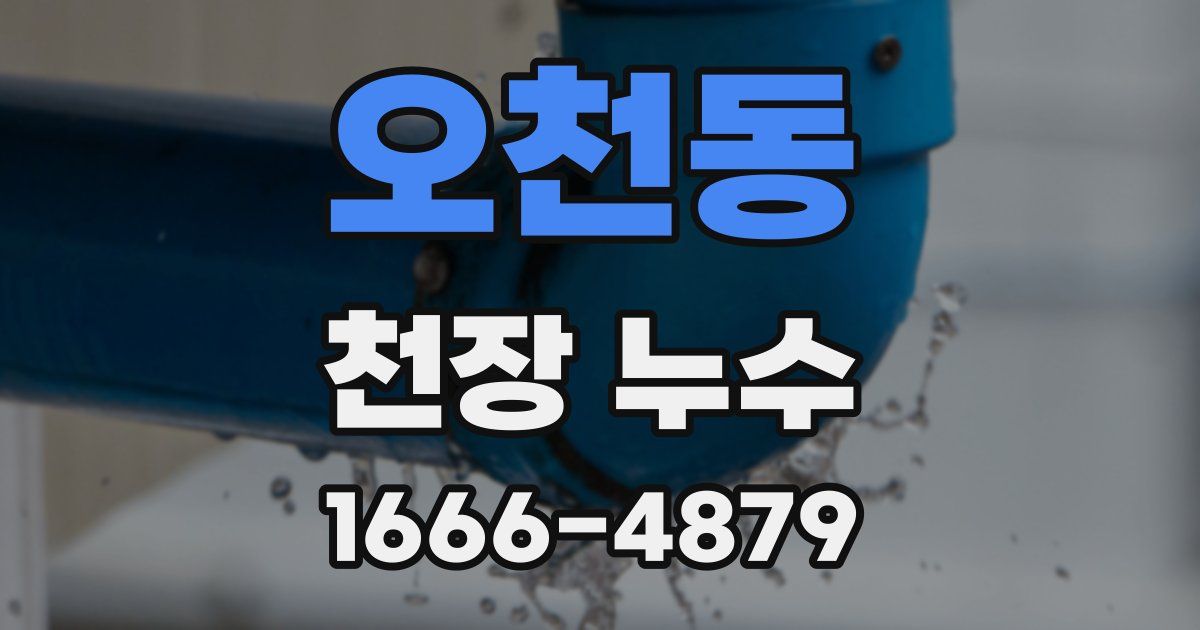 오천동 천장 누수