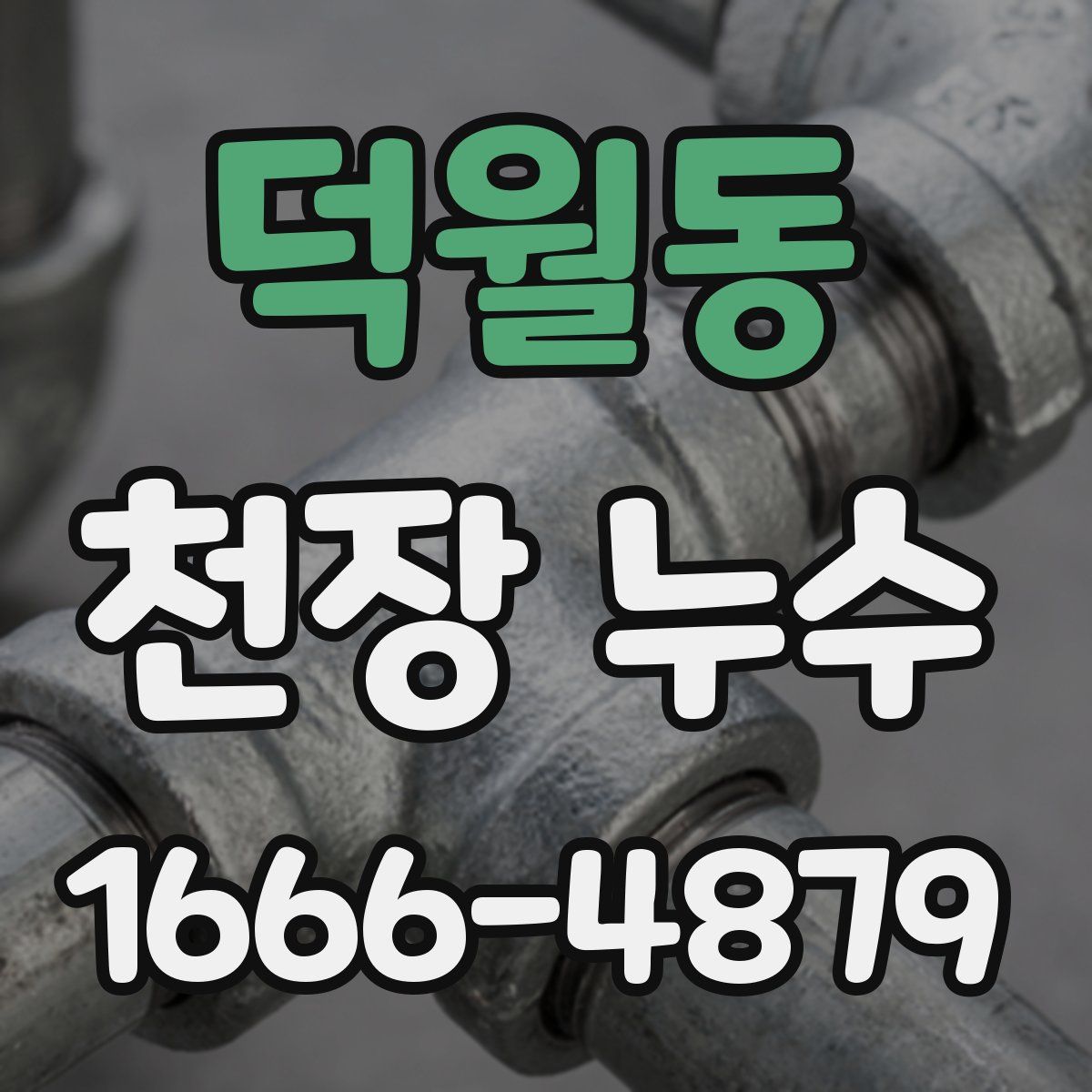 덕월동 천장 누수