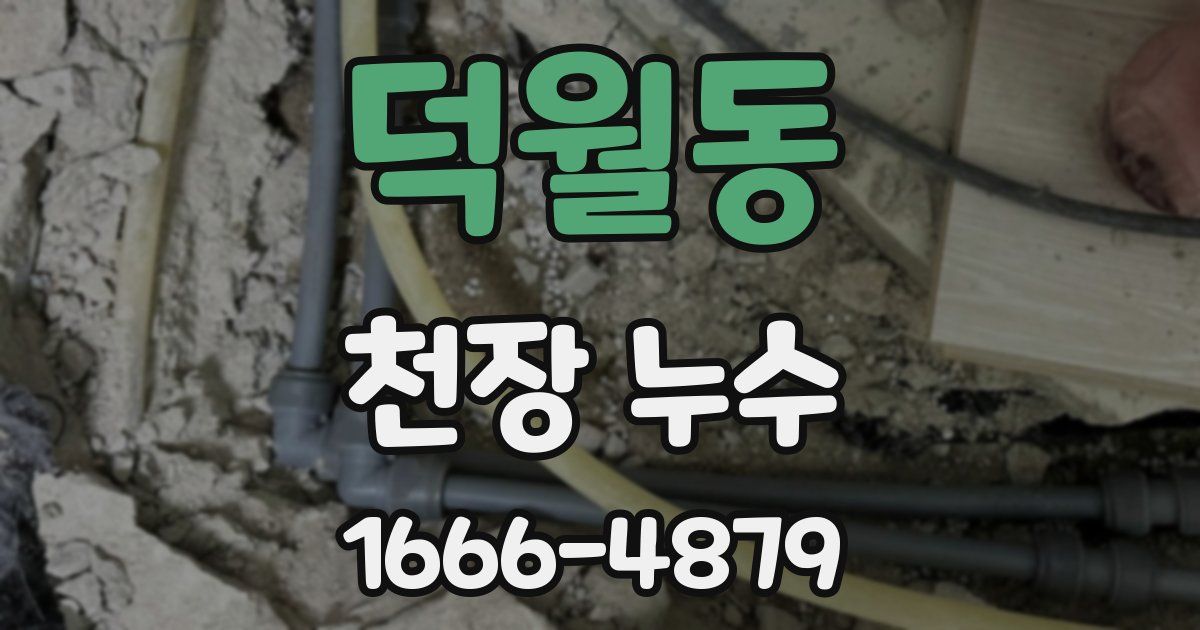 덕월동 천장 누수