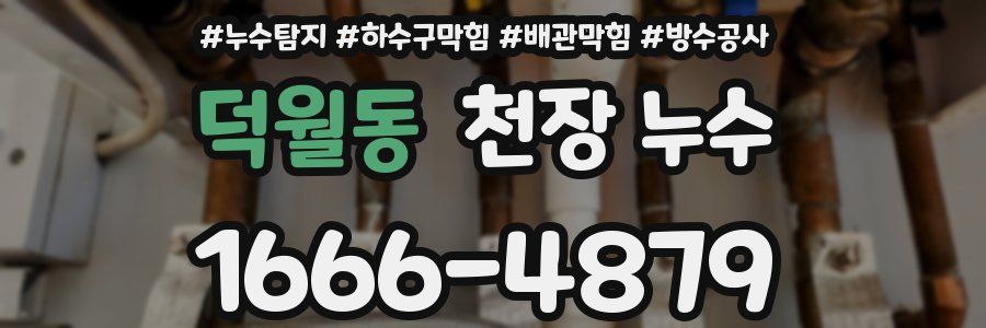 덕월동 천장 누수