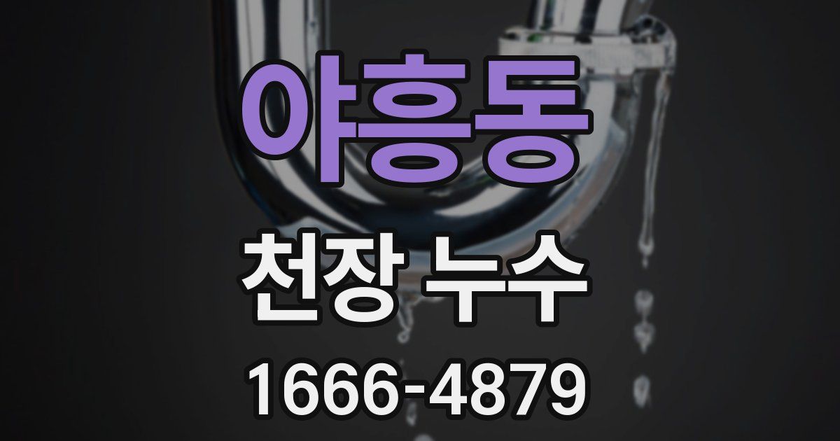 야흥동 천장 누수