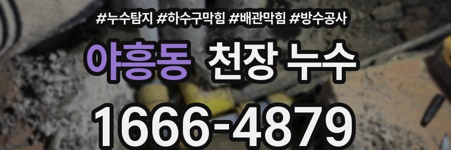 야흥동 천장 누수
