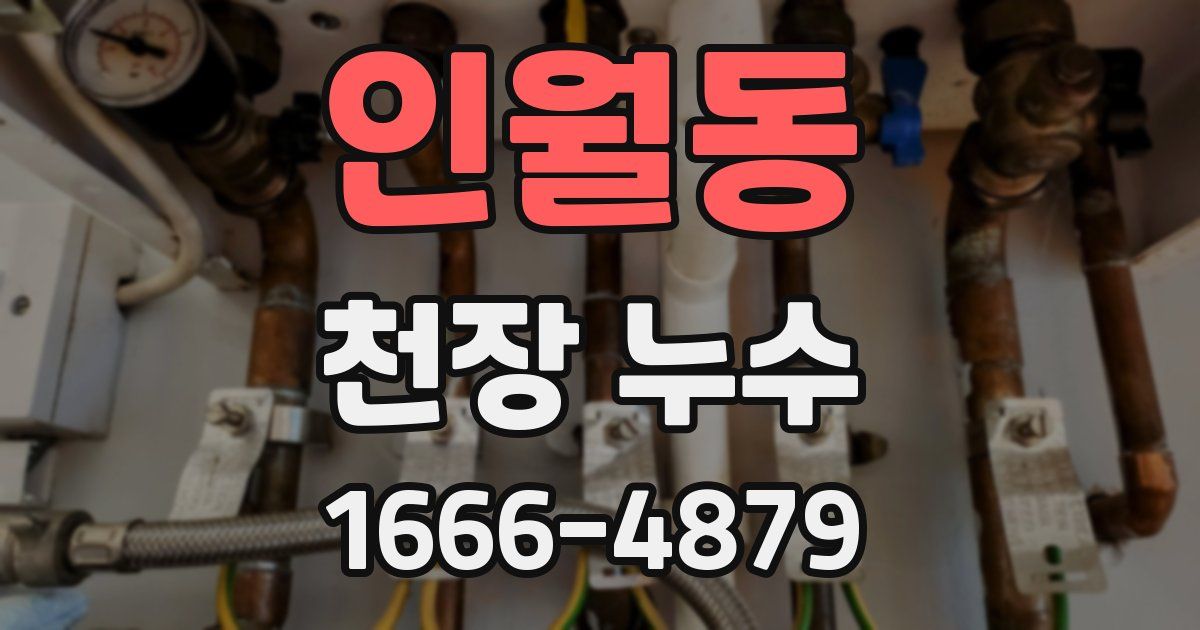 인월동 천장 누수