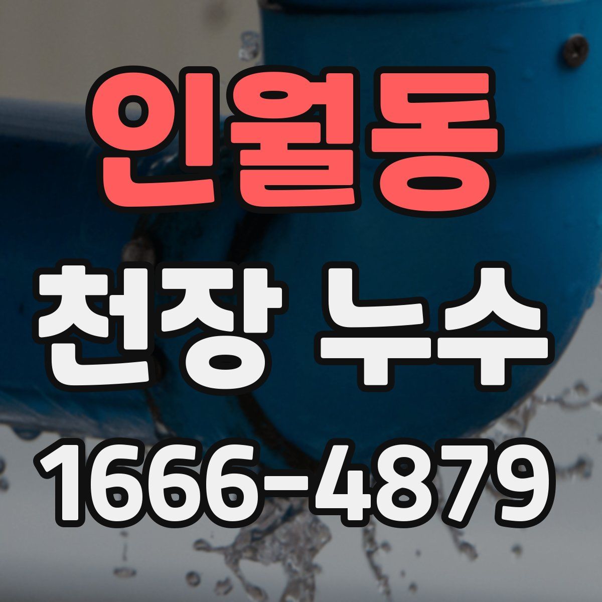 인월동 천장 누수