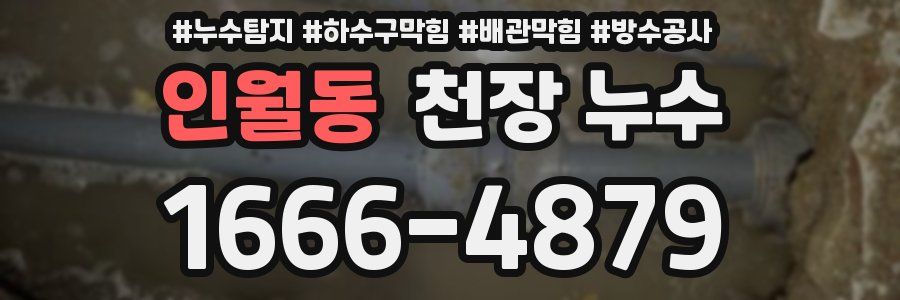 인월동 천장 누수