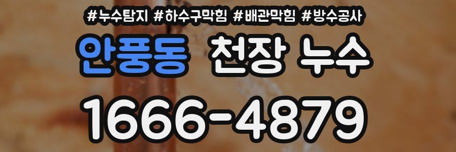 안풍동 천장 누수