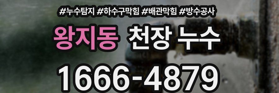 왕지동 천장 누수