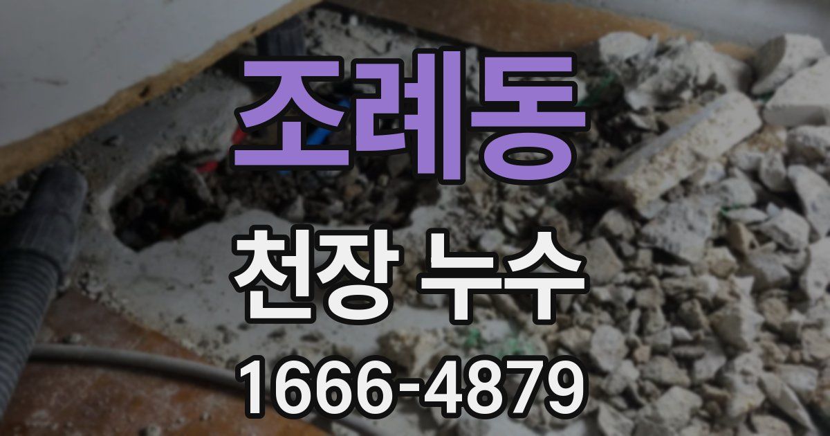 조례동 천장 누수