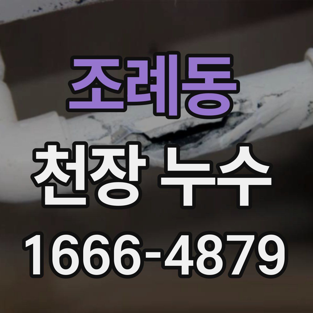 조례동 천장 누수