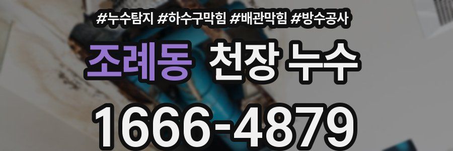 조례동 천장 누수