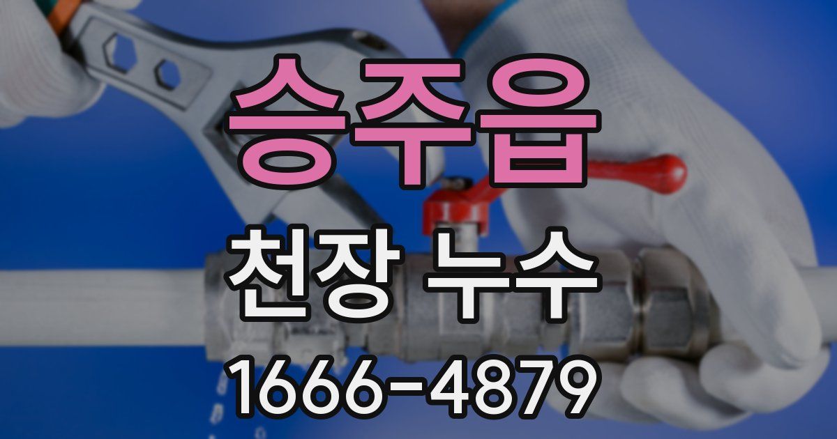 승주읍 천장 누수