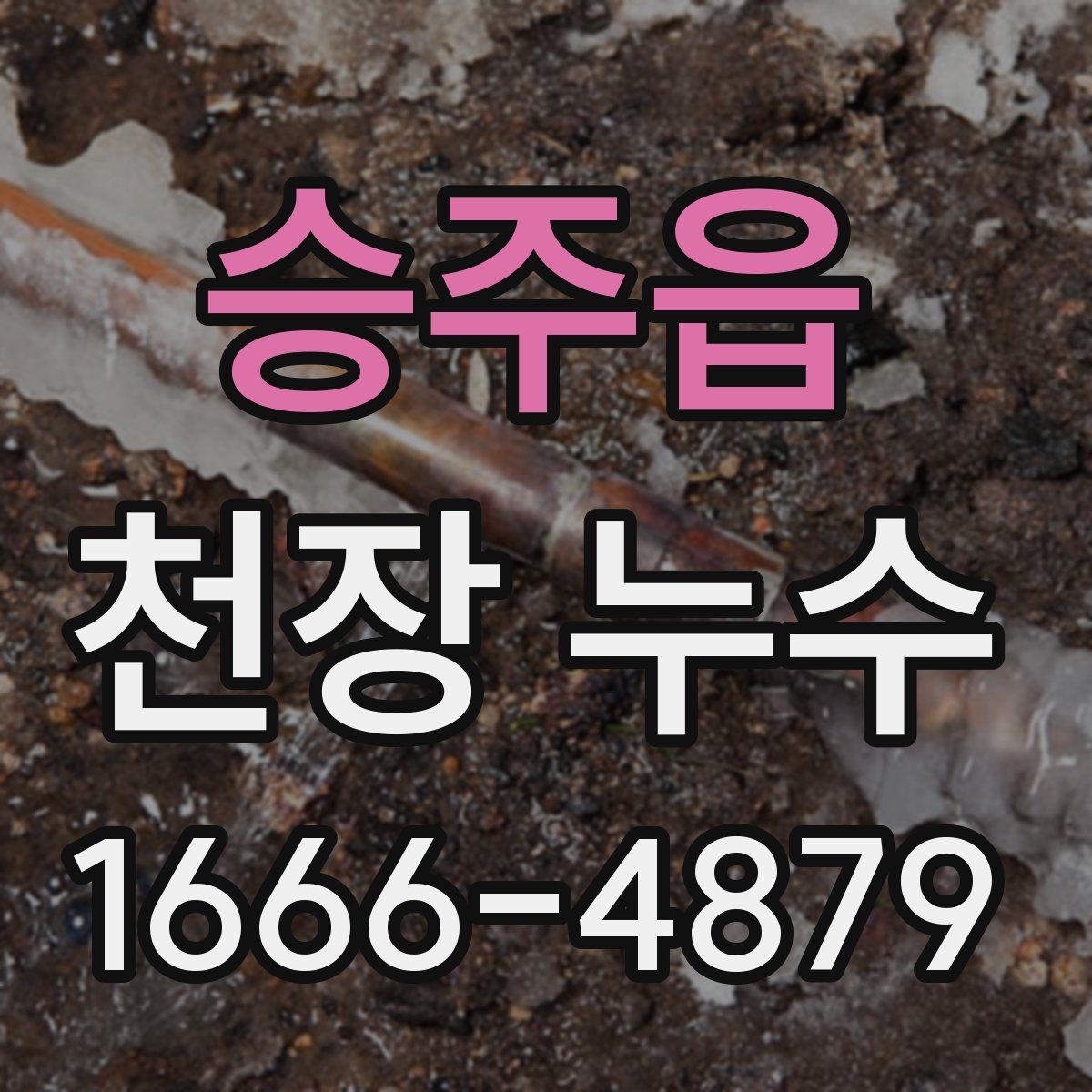 승주읍 천장 누수
