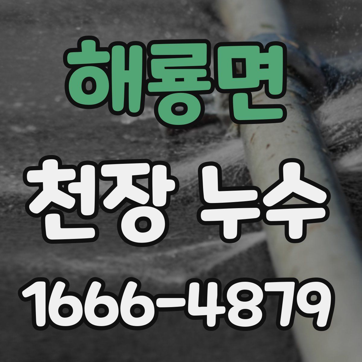 해룡면 천장 누수