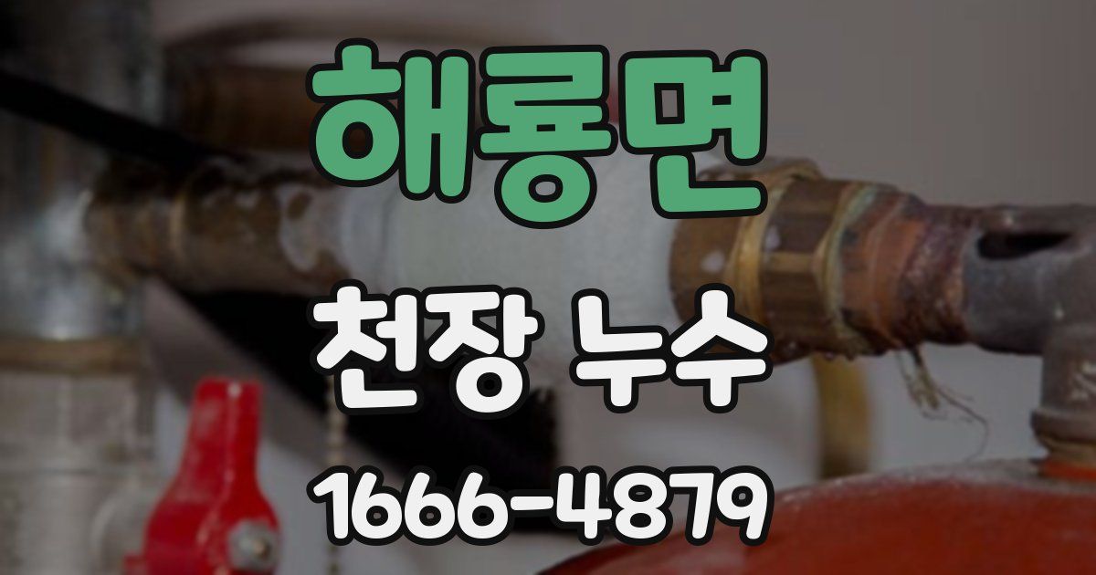 해룡면 천장 누수