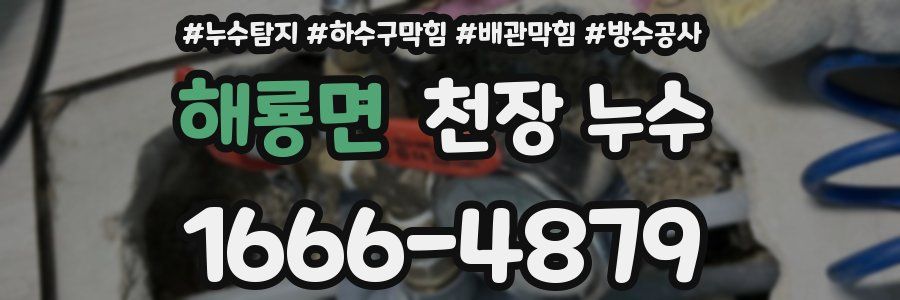 해룡면 천장 누수
