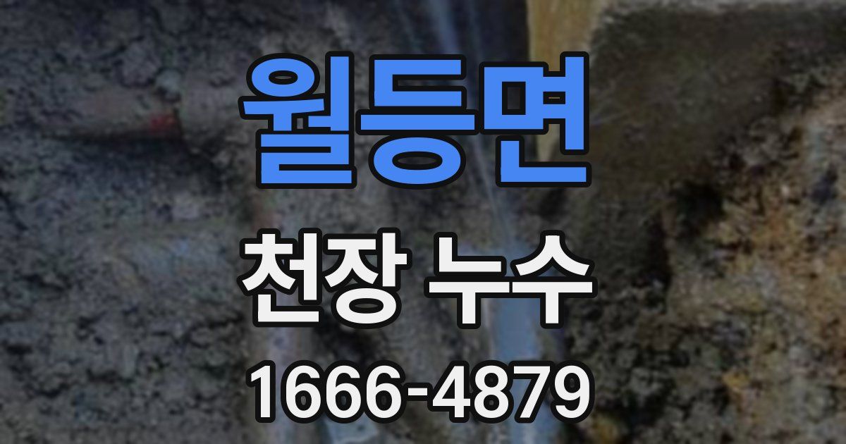 월등면 천장 누수