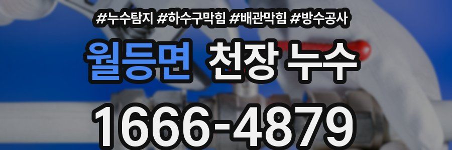 월등면 천장 누수