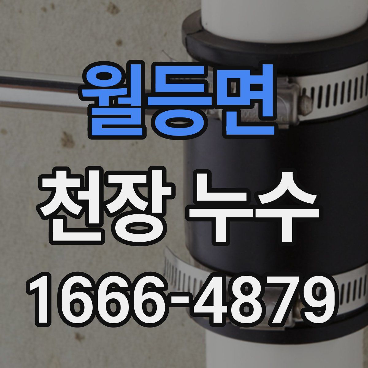 월등면 천장 누수