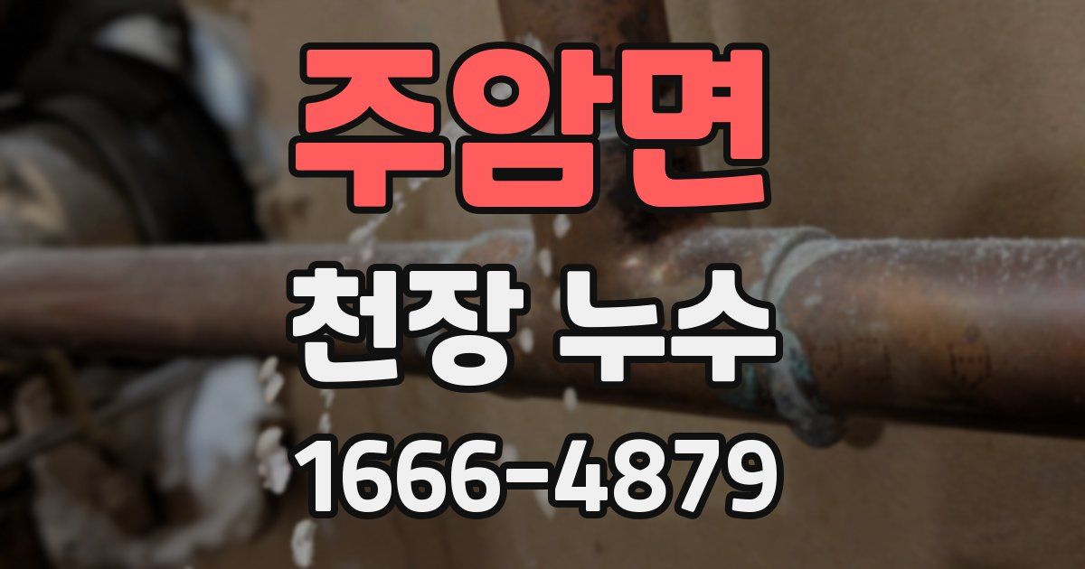 주암면 천장 누수