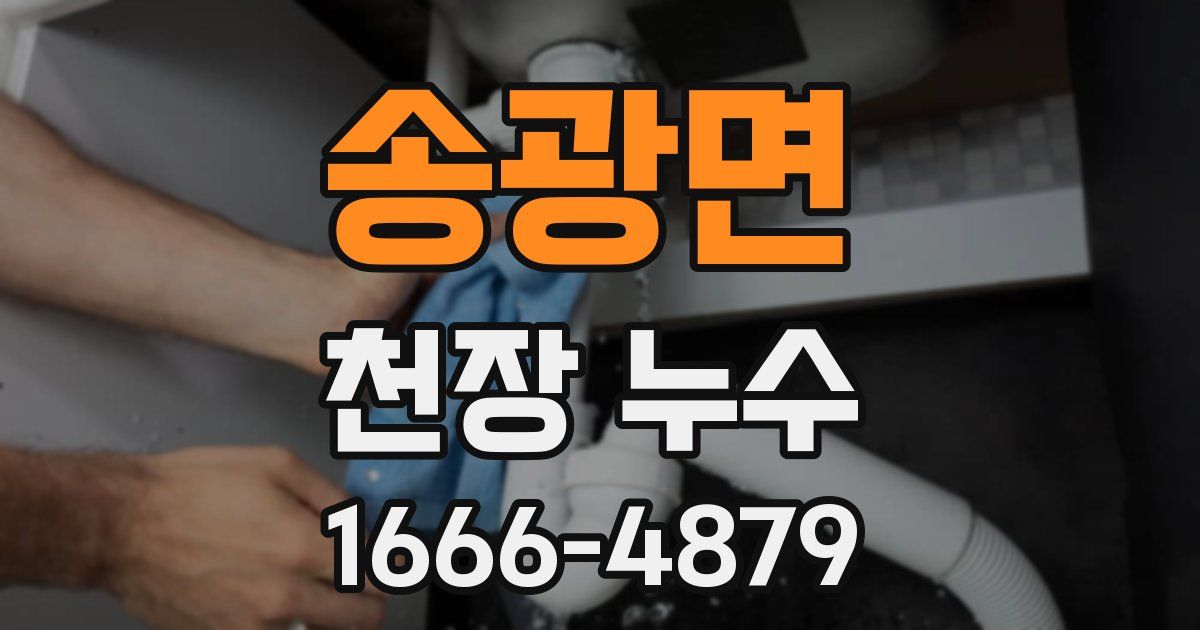 송광면 천장 누수