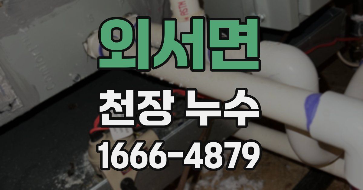 외서면 천장 누수