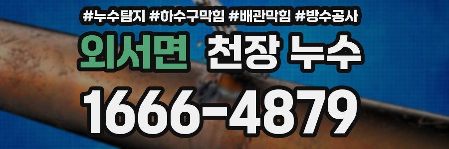 외서면 천장 누수