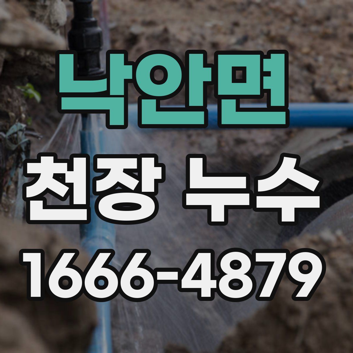 낙안면 천장 누수
