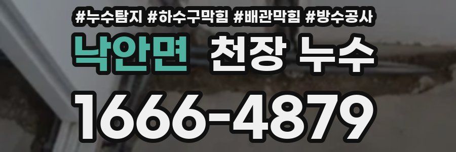 낙안면 천장 누수