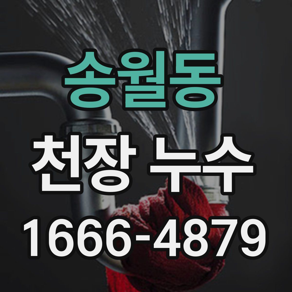 송월동 천장 누수
