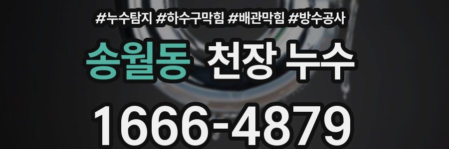 송월동 천장 누수