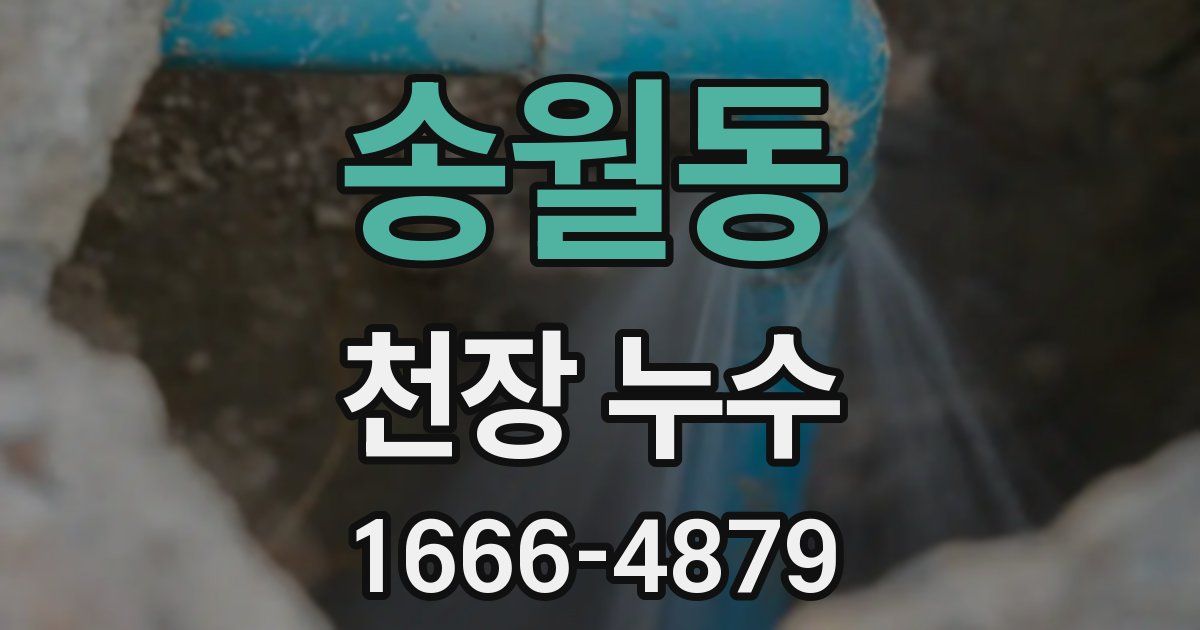 송월동 천장 누수