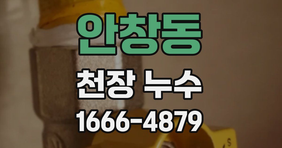 안창동 천장 누수
