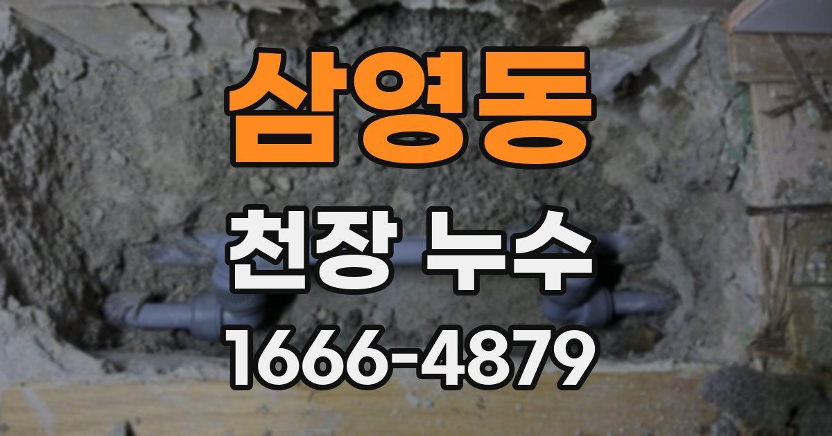 삼영동 천장 누수