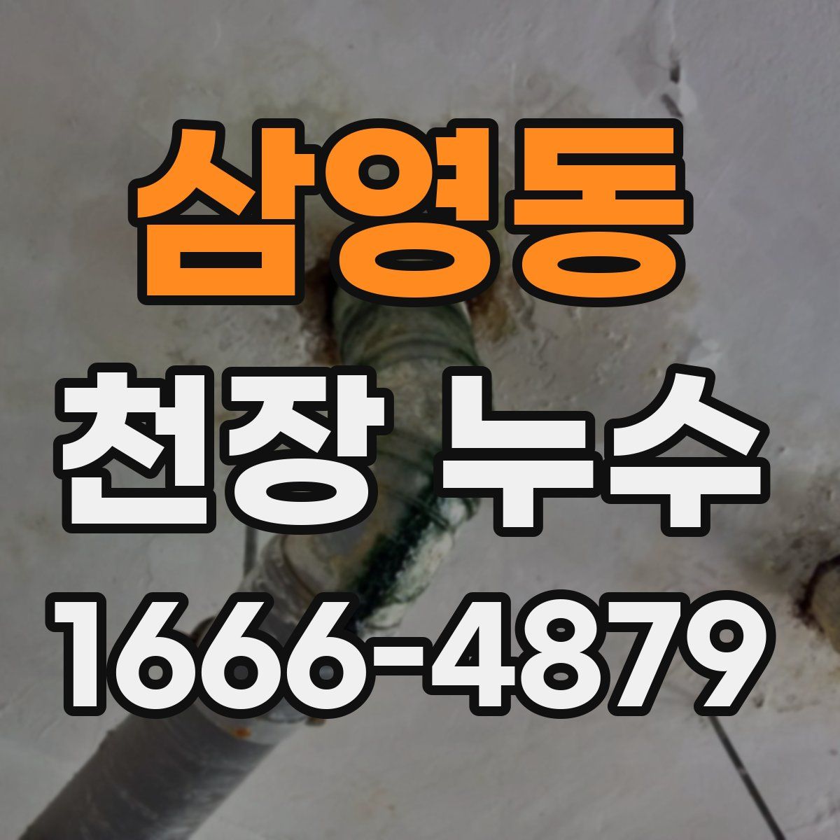삼영동 천장 누수