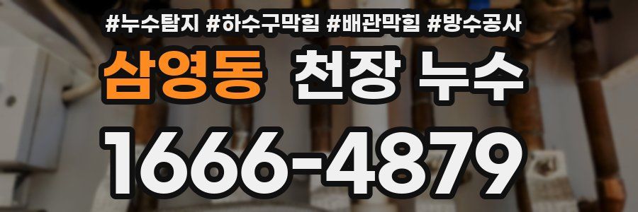 삼영동 천장 누수