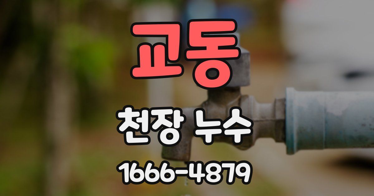 교동 천장 누수
