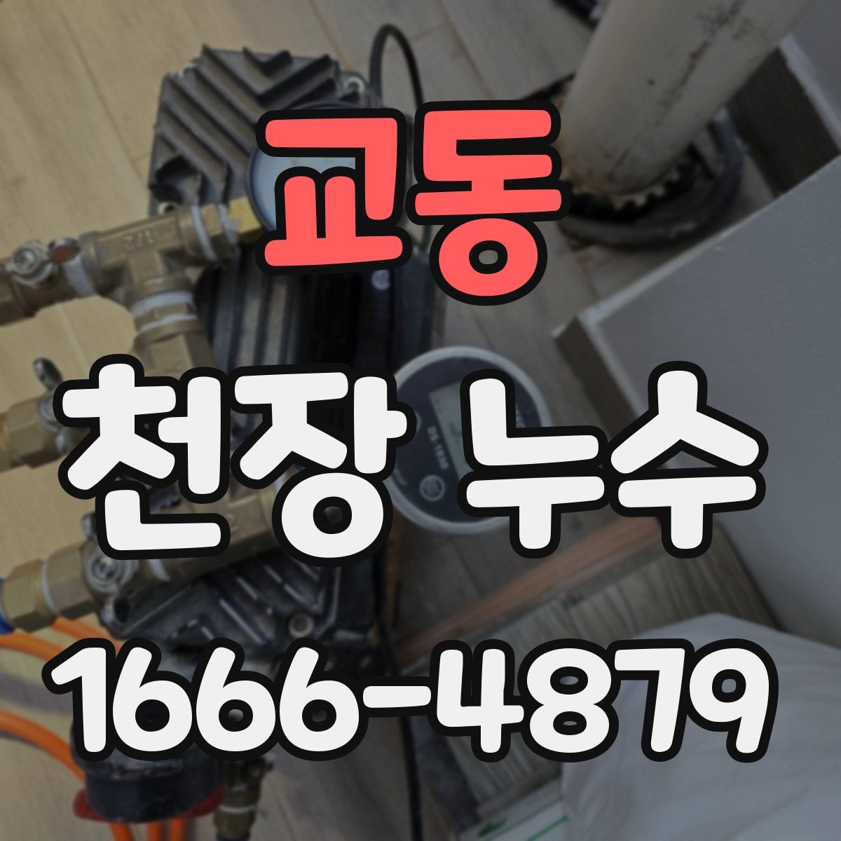 교동 천장 누수