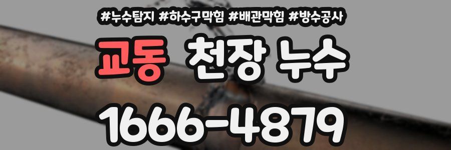 교동 천장 누수
