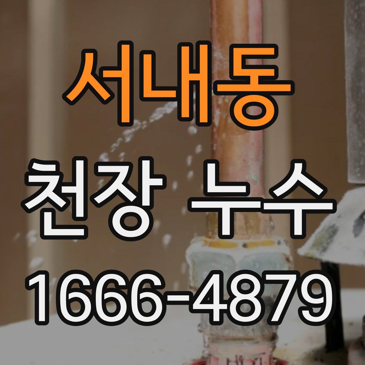 서내동 천장 누수