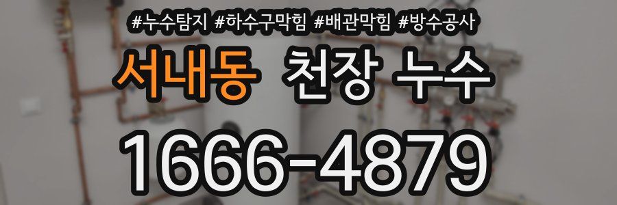 서내동 천장 누수