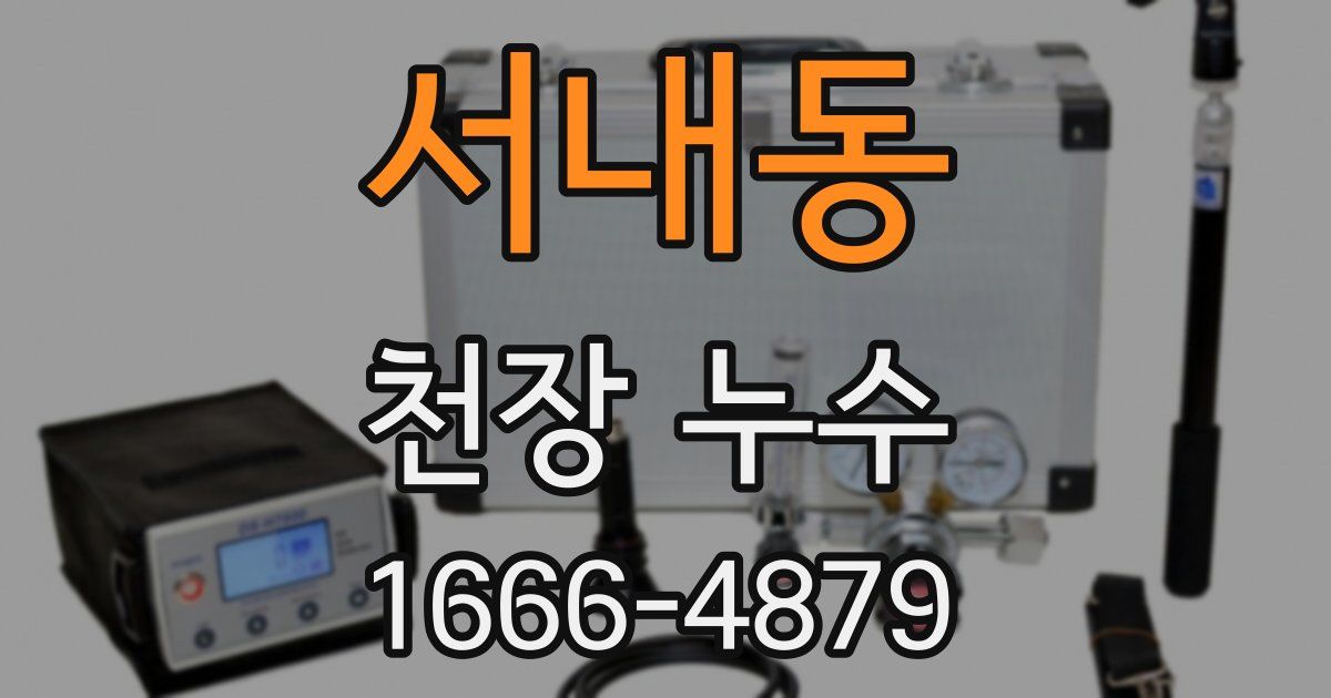 서내동 천장 누수