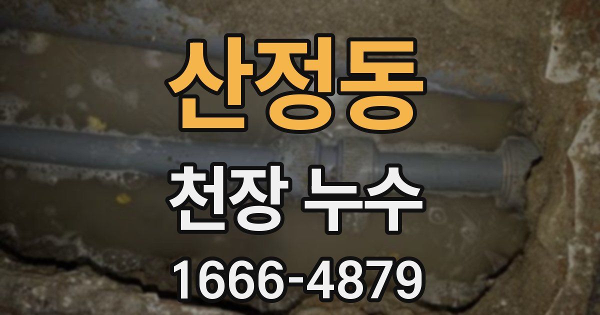 산정동 천장 누수