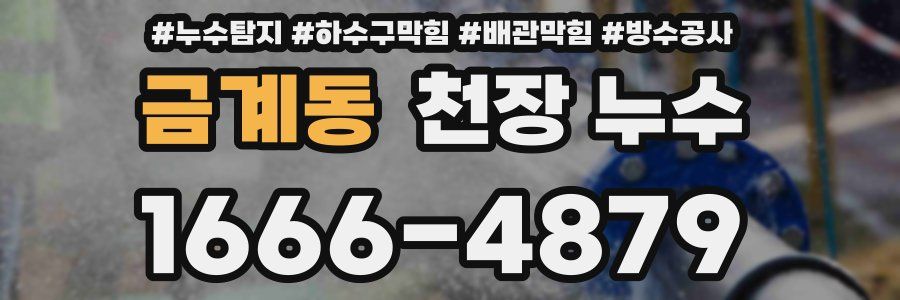 금계동 천장 누수