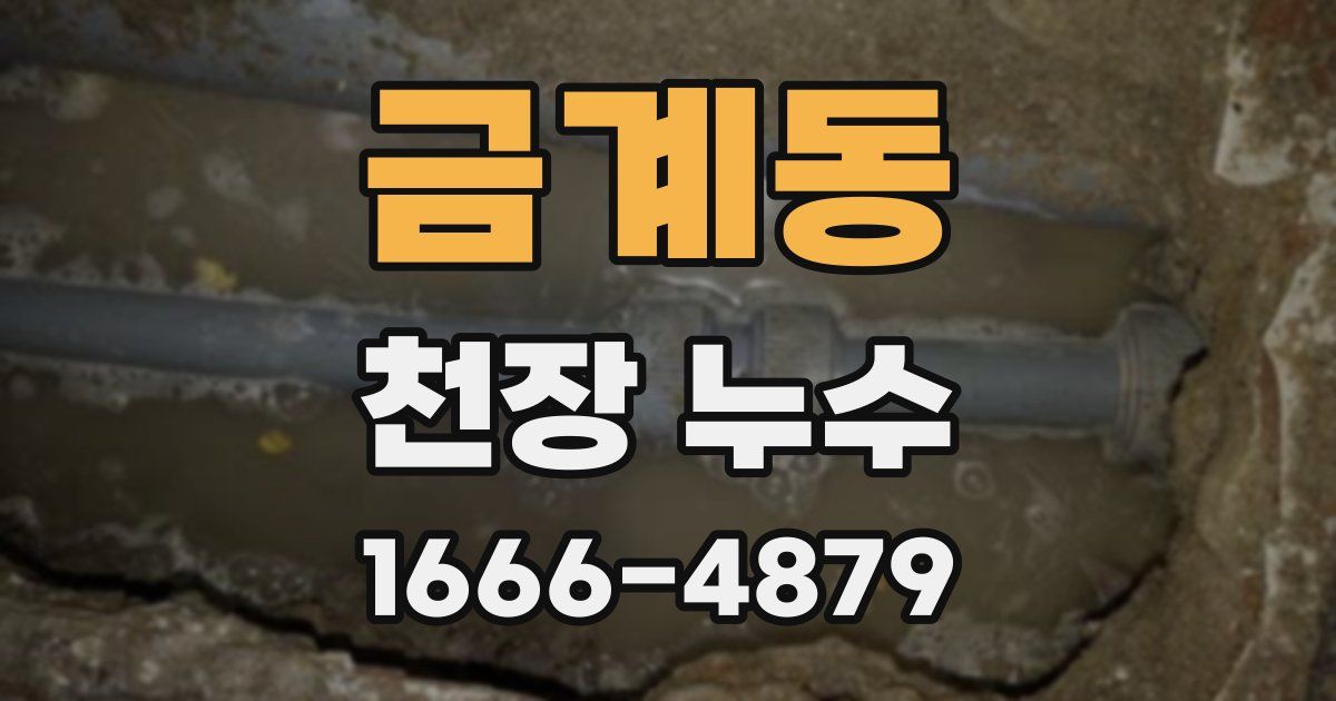 금계동 천장 누수