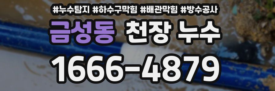 금성동 천장 누수