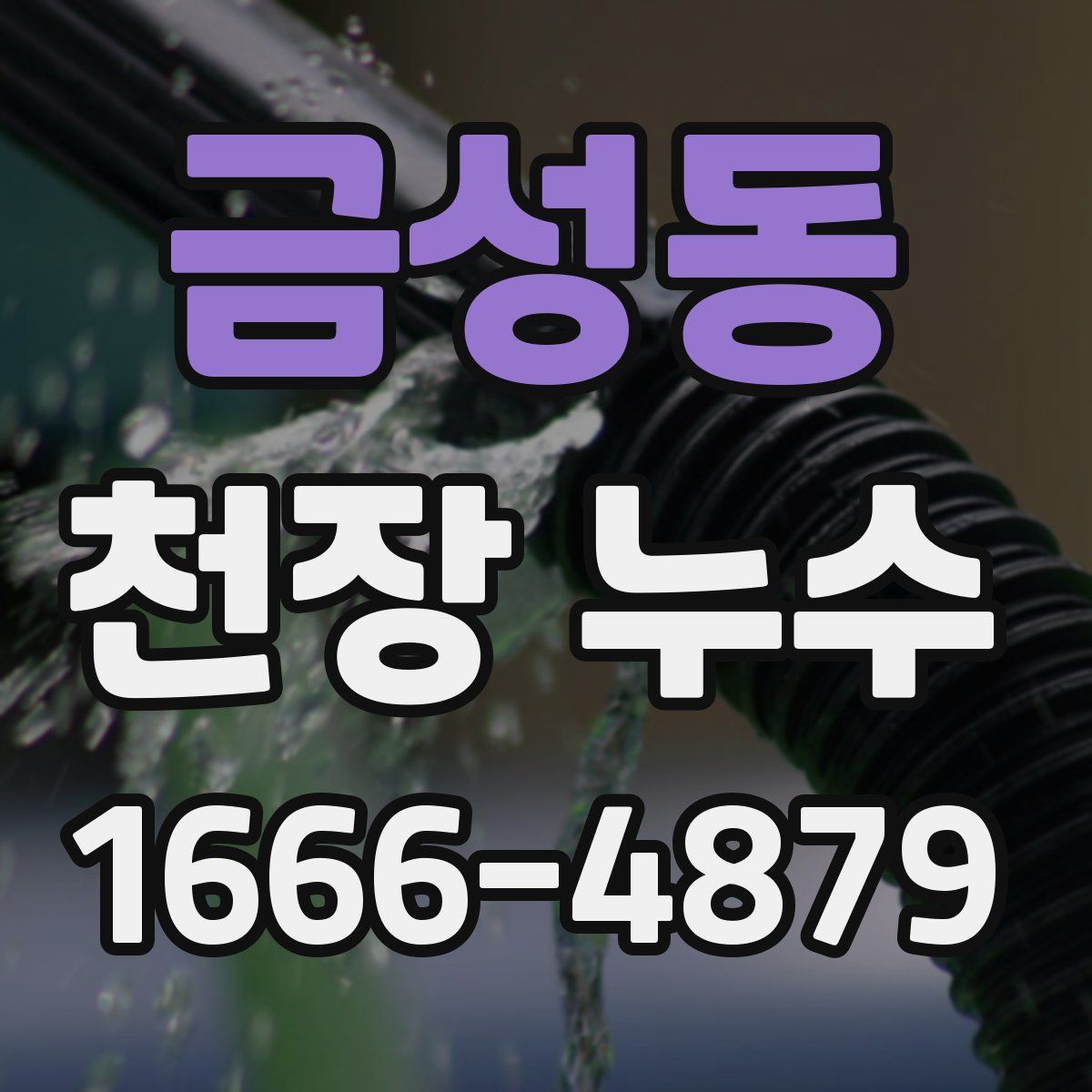 금성동 천장 누수